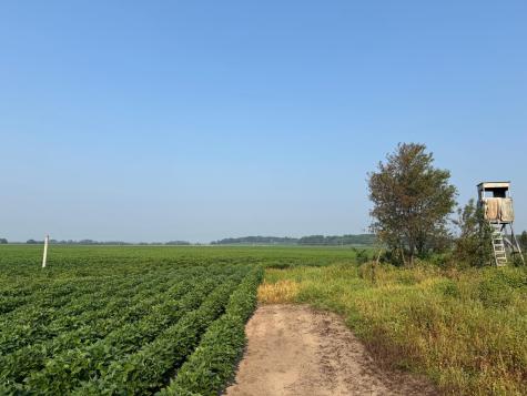 0000 County 61 Browerville MN 56438