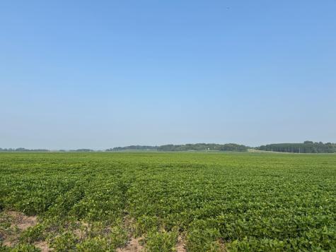 0000 County 61 Browerville MN 56438