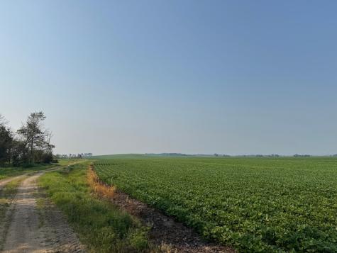 0000 County 61 Browerville MN 56438