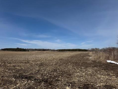 0000 County 61 Browerville MN 56438