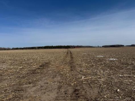 0000 County 61 Browerville MN 56438