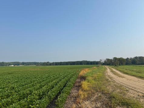0000 County 61 Browerville MN 56438