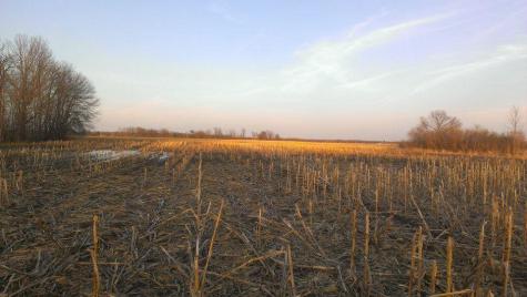 Tbd 16-005-0102 Mille Lacs County Princeton MN 55371