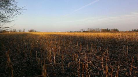 Tbd 16-005-0102 Mille Lacs County Princeton MN 55371