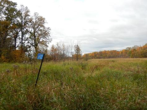 Tbd 16-005-0102 Mille Lacs County Princeton MN 55371