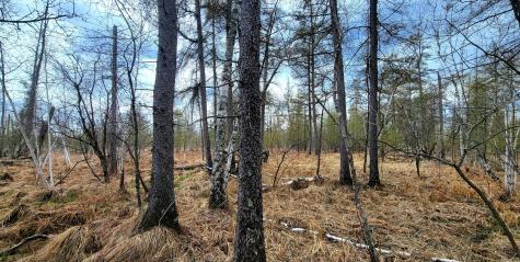 290XX County Highway 35 Underwood MN 56586