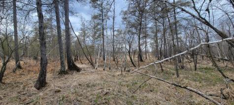 290XX County Highway 35 Underwood MN 56586