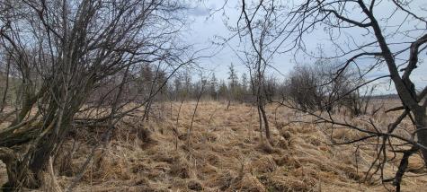 290XX County Highway 35 Underwood MN 56586