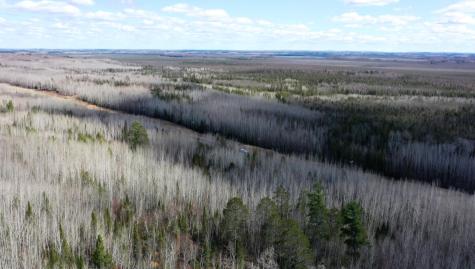 Tbd Parcel U Frazer Bay Road Cook MN 55723