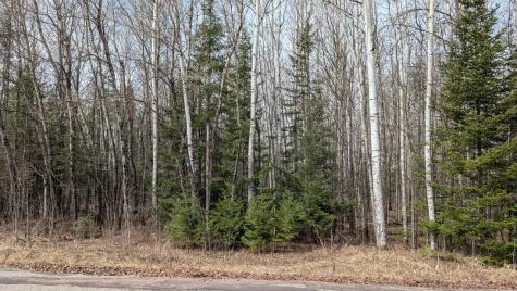 Lot 6 Lund Road Cook MN 55723