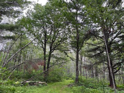 W37XX Frog Creek Road Minong WI 54859
