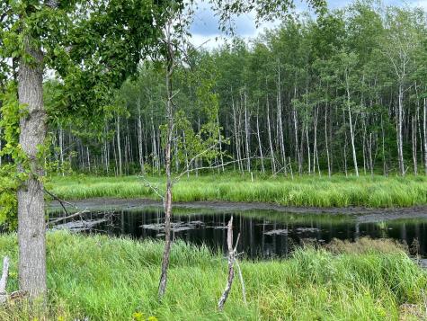W37XX Frog Creek Road Minong WI 54859