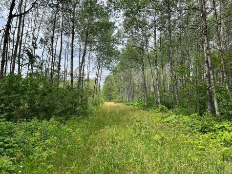 W37XX Frog Creek Road Minong WI 54859
