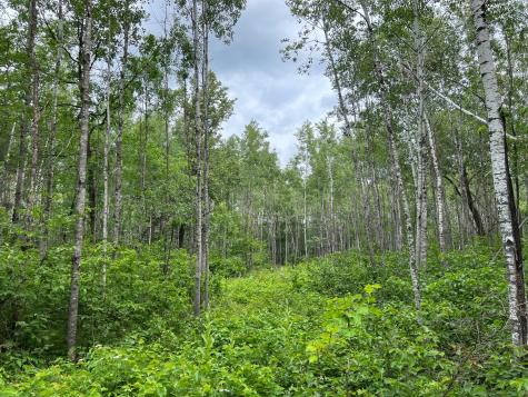 W37XX Frog Creek Road Minong WI 54859