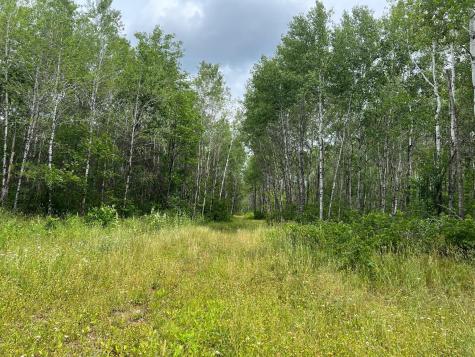 W37XX Frog Creek Road Minong WI 54859