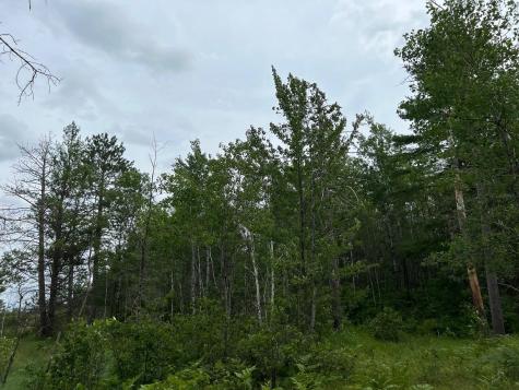 W37XX Frog Creek Road Minong WI 54859