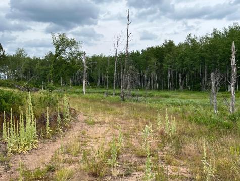 W37XX Frog Creek Road Minong WI 54859