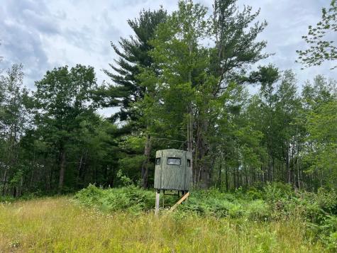 W37XX Frog Creek Road Minong WI 54859
