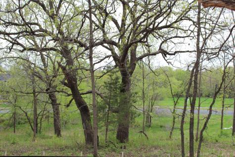1730 River Shore Drive Hastings MN 55033