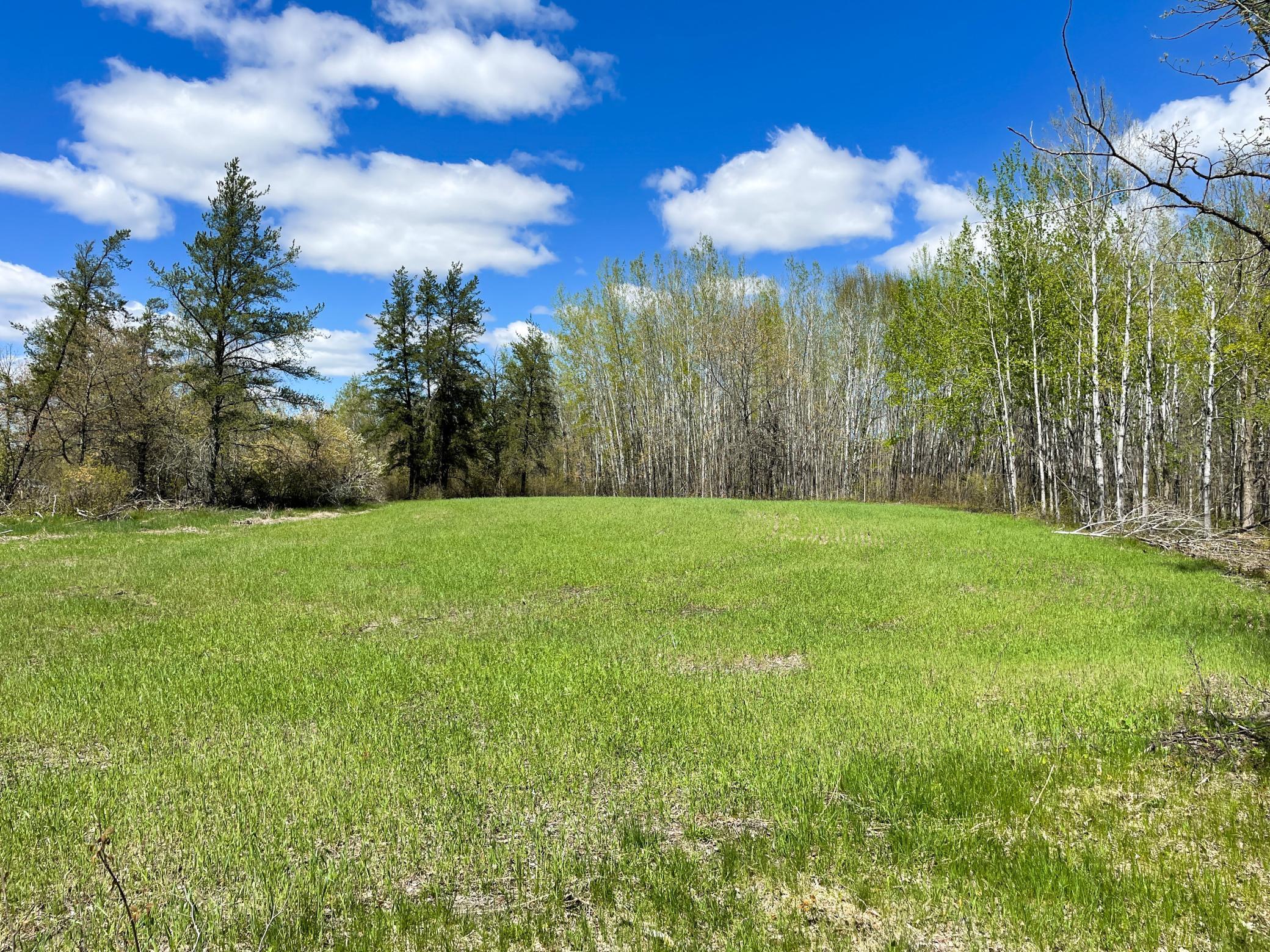 Tbd 15th Street NW Bemidji MN 56601