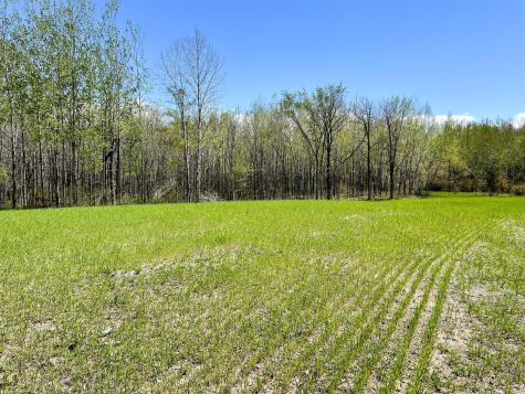 Tbd 15th Street NW Bemidji MN 56601
