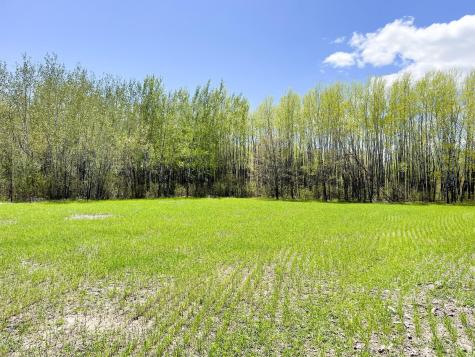 Tbd 15th Street NW Bemidji MN 56601