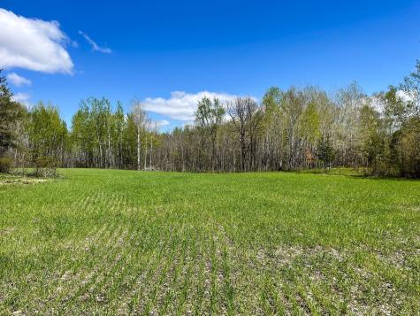 Tbd 15th Street NW Bemidji MN 56601