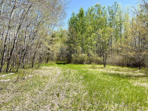 Tbd 15th Street NW Bemidji MN 56601
