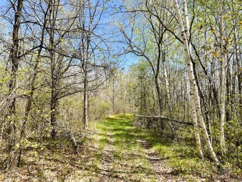 Tbd 15th Street NW Bemidji MN 56601