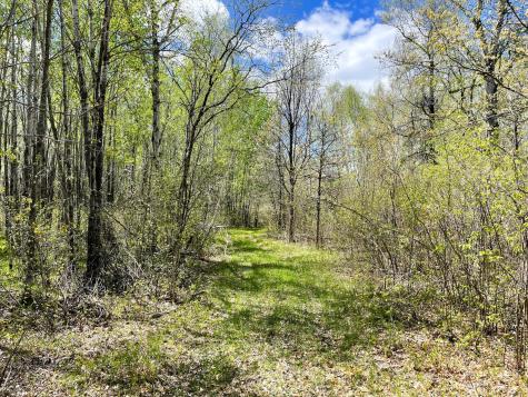 Tbd 15th Street NW Bemidji MN 56601