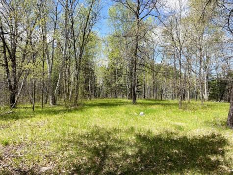Tbd 15th Street NW Bemidji MN 56601