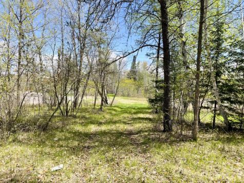 Tbd 15th Street NW Bemidji MN 56601