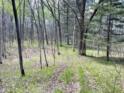 Tbd 15th Street NW Bemidji MN 56601