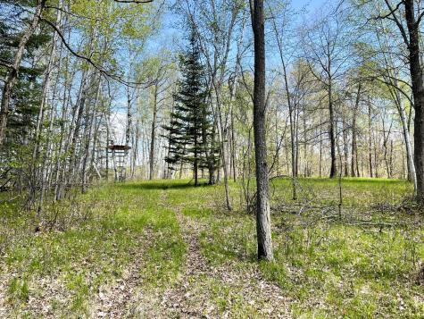 Tbd 15th Street NW Bemidji MN 56601