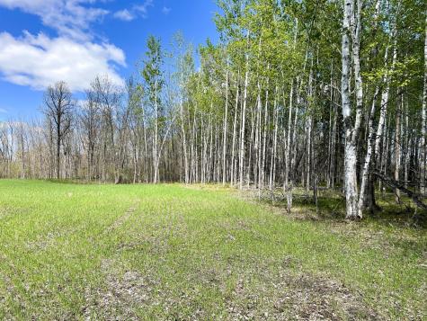 Tbd 15th Street NW Bemidji MN 56601