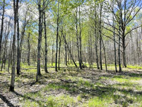 Tbd 15th Street NW Bemidji MN 56601
