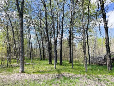 Tbd 15th Street NW Bemidji MN 56601