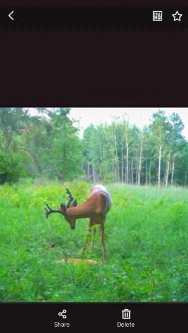 Tbd 15th Street NW Bemidji MN 56601