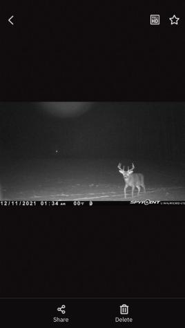 Tbd 15th Street NW Bemidji MN 56601