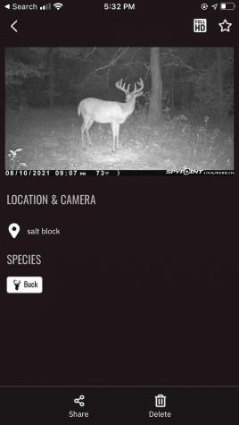 Tbd 15th Street NW Bemidji MN 56601