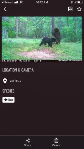 Tbd 15th Street NW Bemidji MN 56601