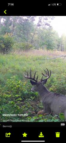 Tbd 15th Street NW Bemidji MN 56601