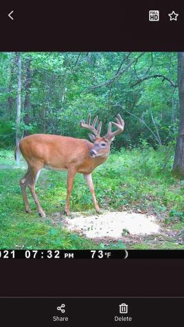 Tbd 15th Street NW Bemidji MN 56601