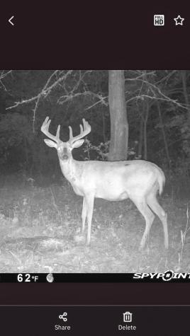 Tbd 15th Street NW Bemidji MN 56601