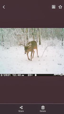 Tbd 15th Street NW Bemidji MN 56601