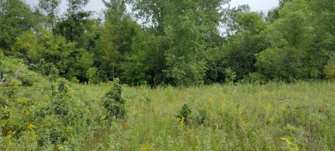 28023 County Highway 1 Underwood MN 56586
