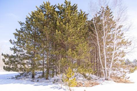 000 Mid-river Road Pine City MN 55063
