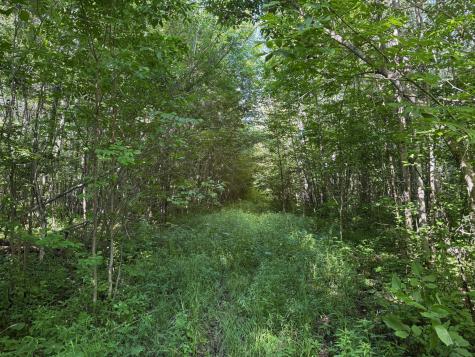 40A Bridgie Road Northome MN 56661