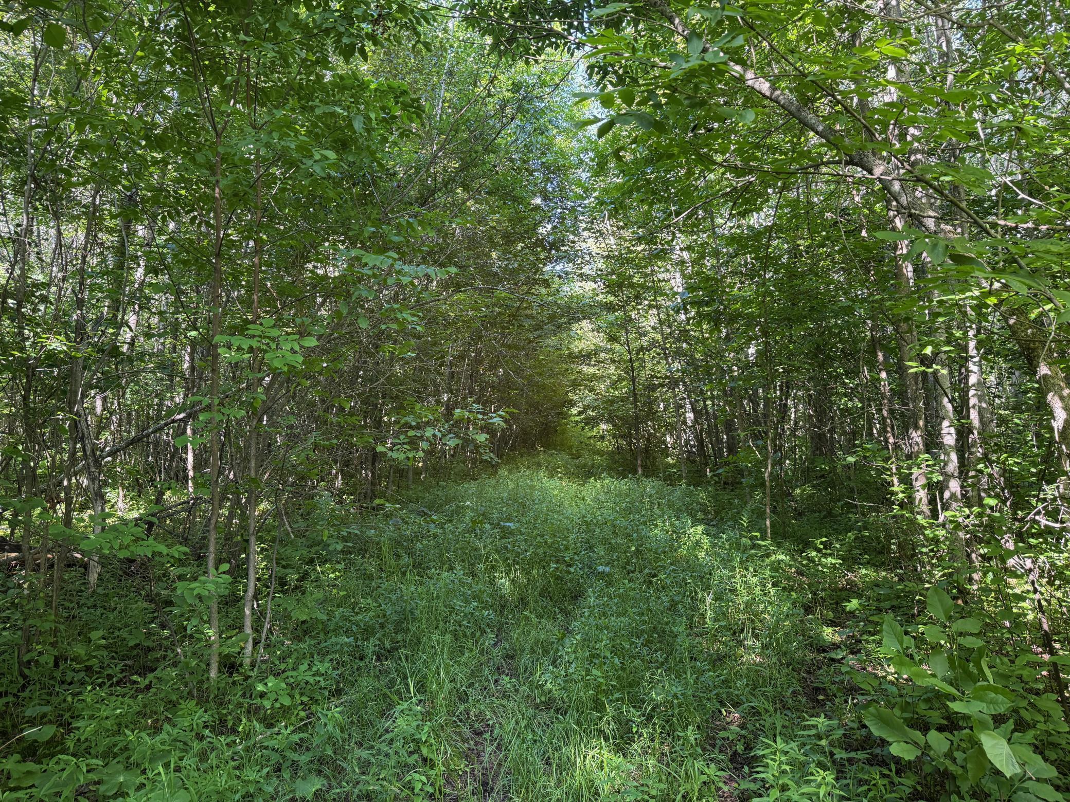 40A Bridgie Road Northome MN 56661