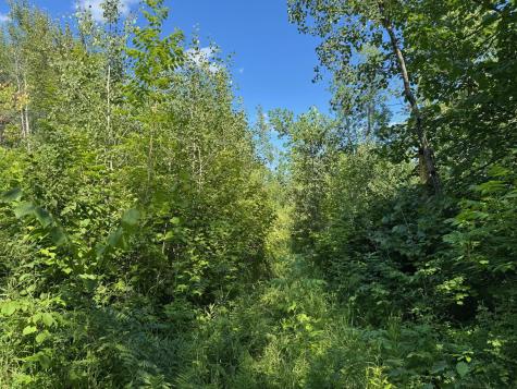 40A Bridgie Road Northome MN 56661